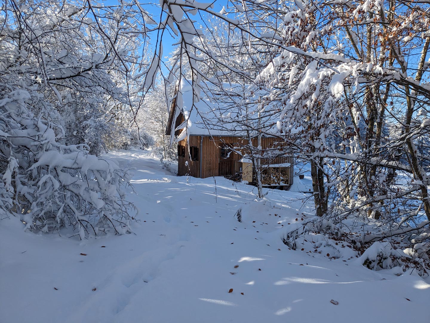 Tinyhouse_Waldhütte-Schnee