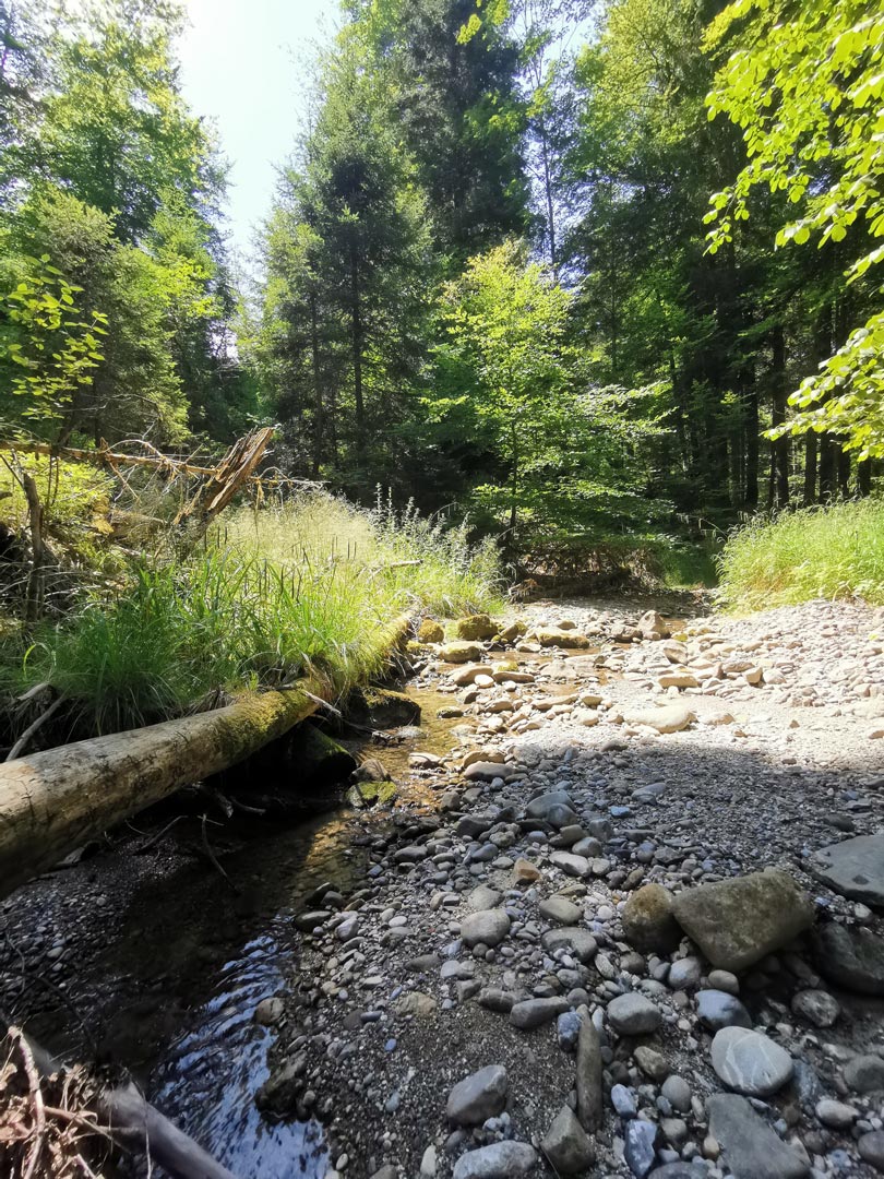 Ferien in Wessobrunn - Naturerlebnis Pfaffenwinkel